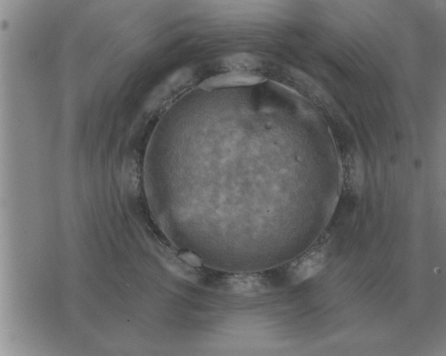 X0000074340762200609152122