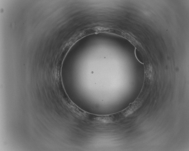 X0000074340763200609152122