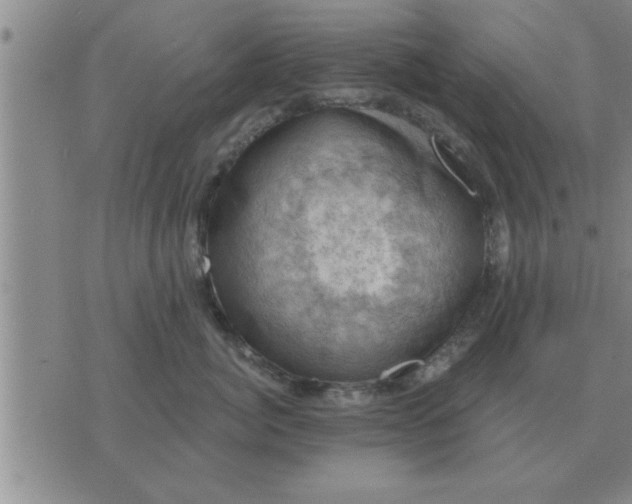 X0000074340764200609152122