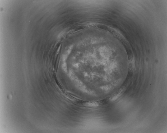 X0000074340765200609152122