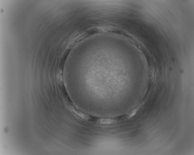 X0000074340766200609152122