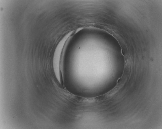 X0000074340767200609152122