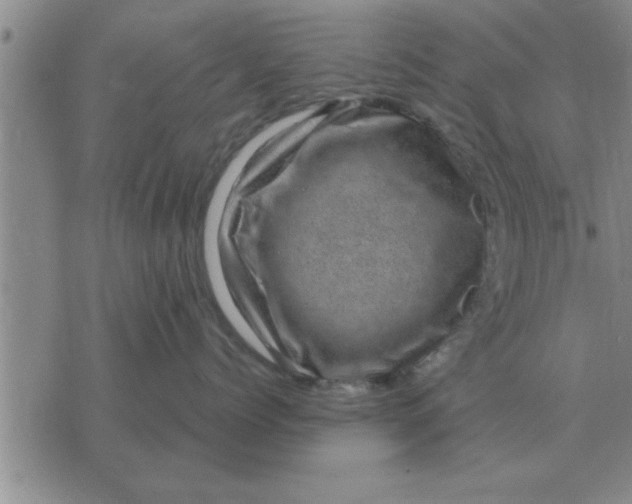 X0000074340768200609152122