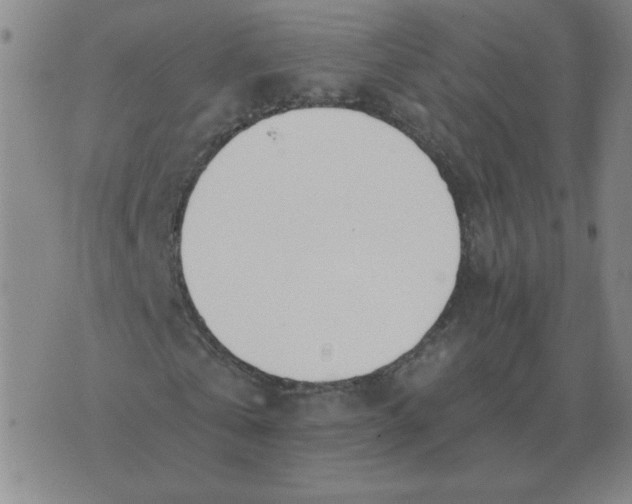 X0000074340769200609152121