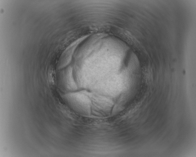 X0000074340770200609152121