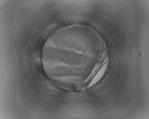 X0000074340771200609152121