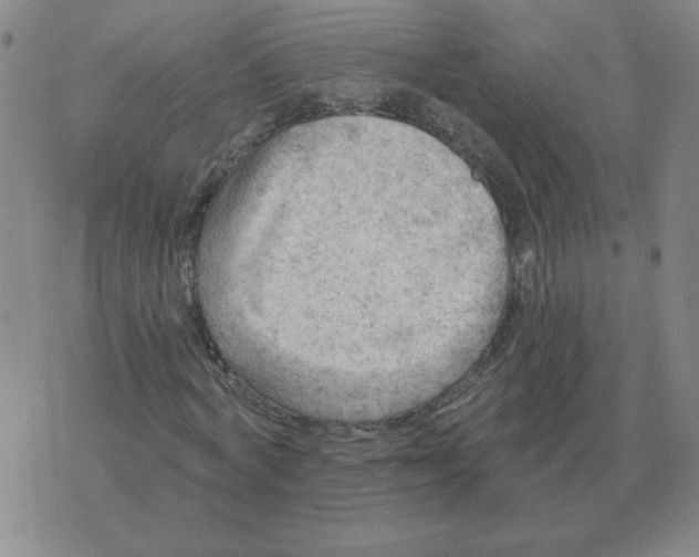 X0000074340772200609152121