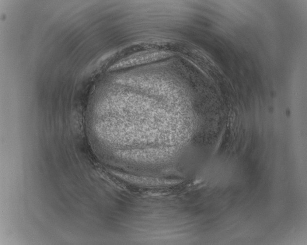 X0000074340773200609152121