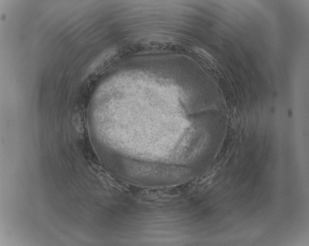 X0000074340774200609152121