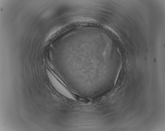 X0000074340775200609152121