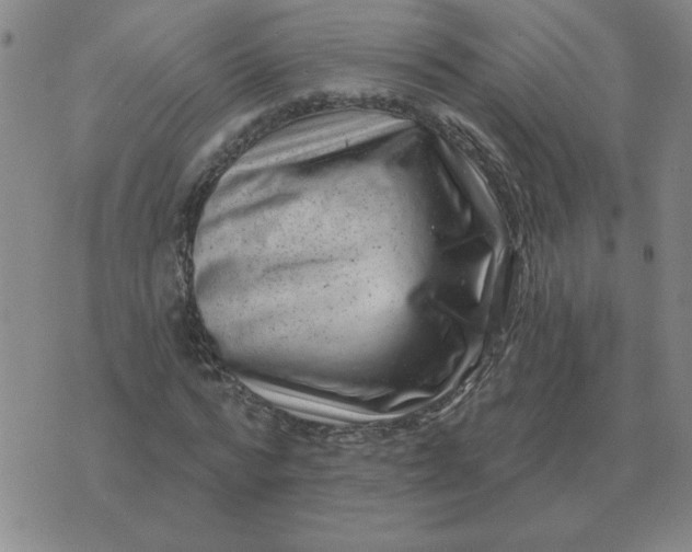 X0000074340776200609152121