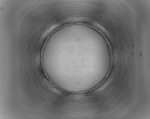 X0000074340778200609152121