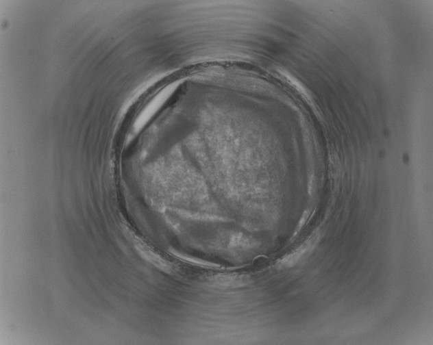 X0000074340779200609152121