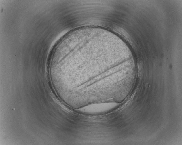 X0000074340780200609152121