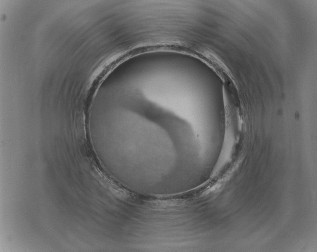 X0000074340781200609152121