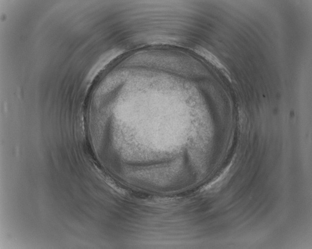 X0000074340782200609152121