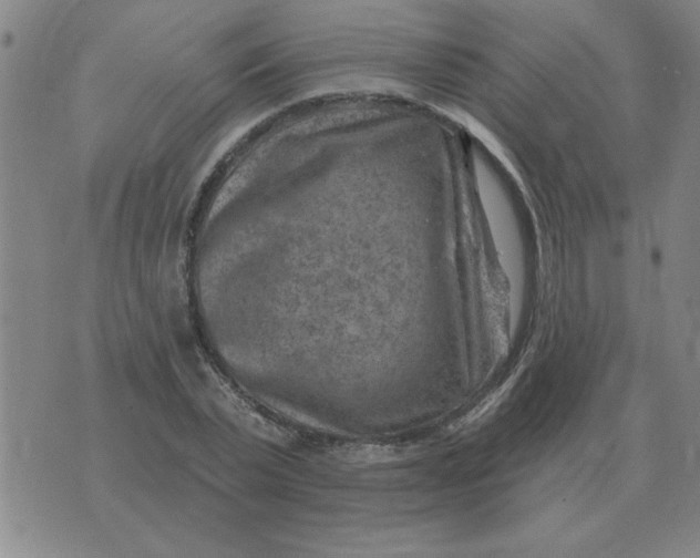 X0000074340783200609152121