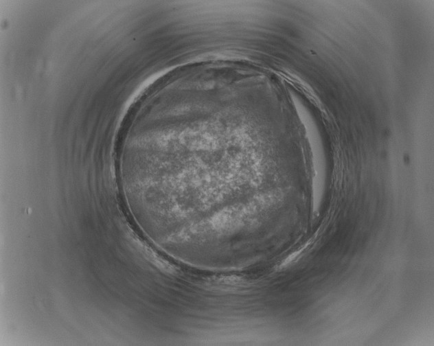 X0000074340784200609152121