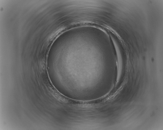 X0000074340785200609152121