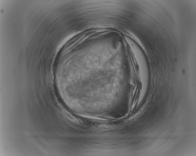 X0000074340787200609152121