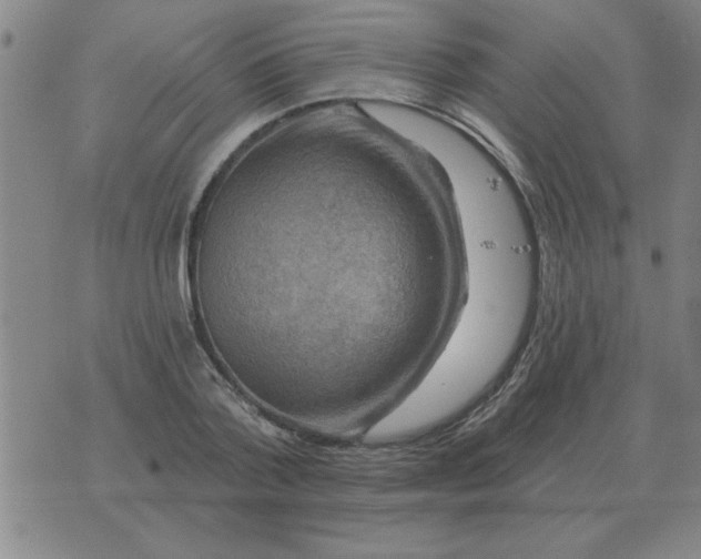 X0000074340788200609152121