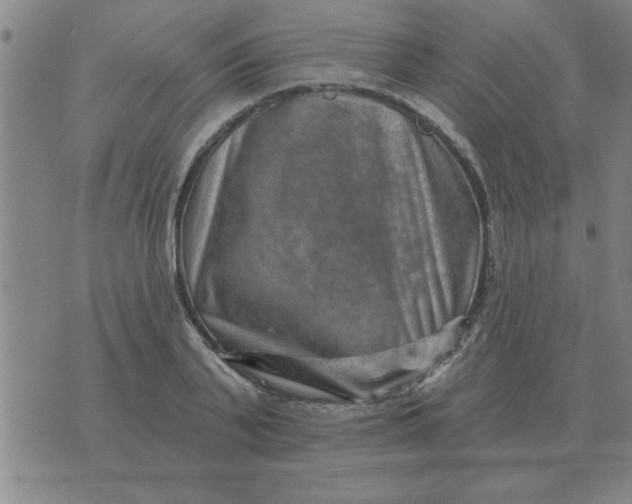 X0000074340791200609152121