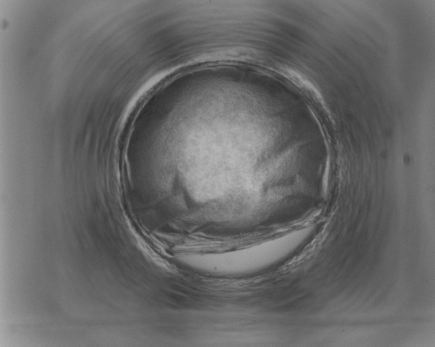 X0000074340792200609152121