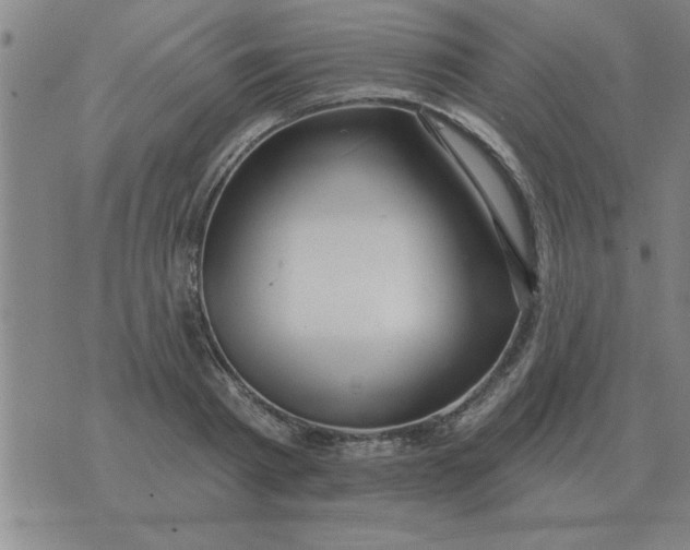 X0000074340793200609152121