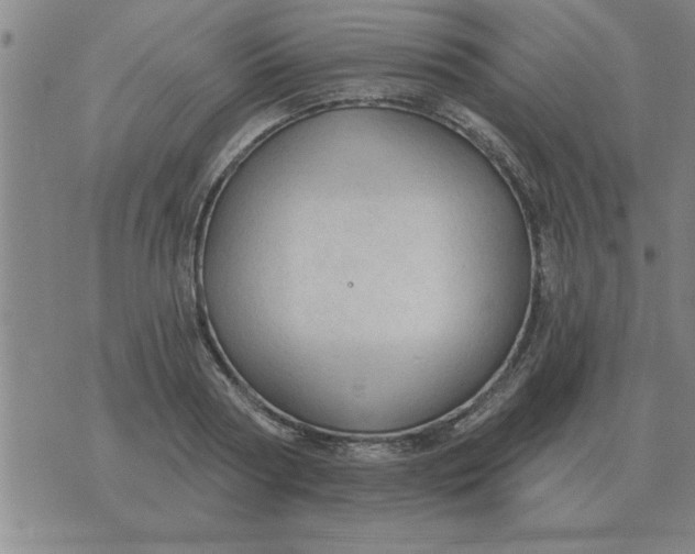 X0000074340794200609152121