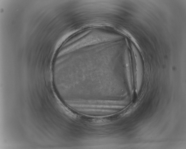 X0000074340795200609152121