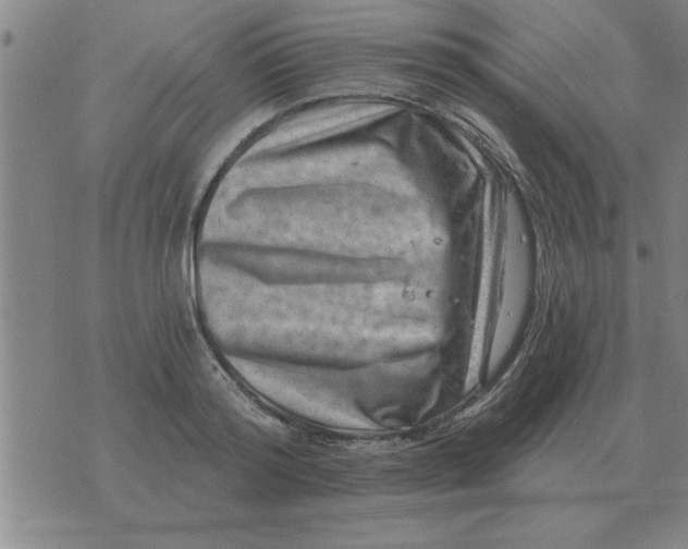 X0000074340796200609152121