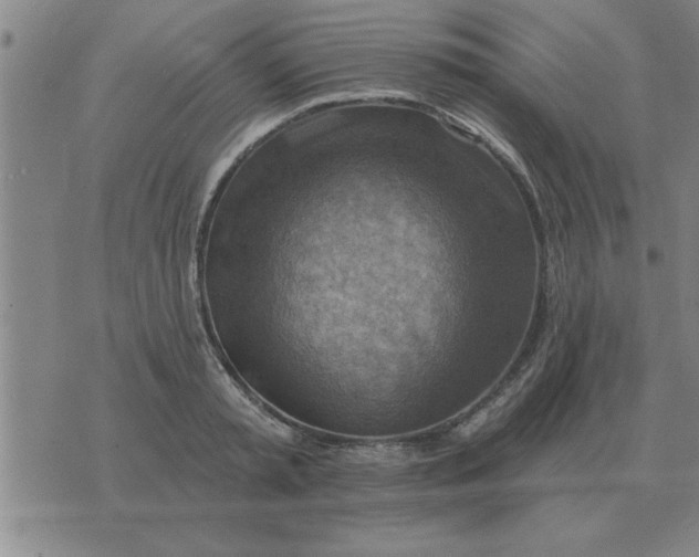 X0000074340797200609152121