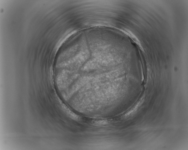 X0000074340798200609152121