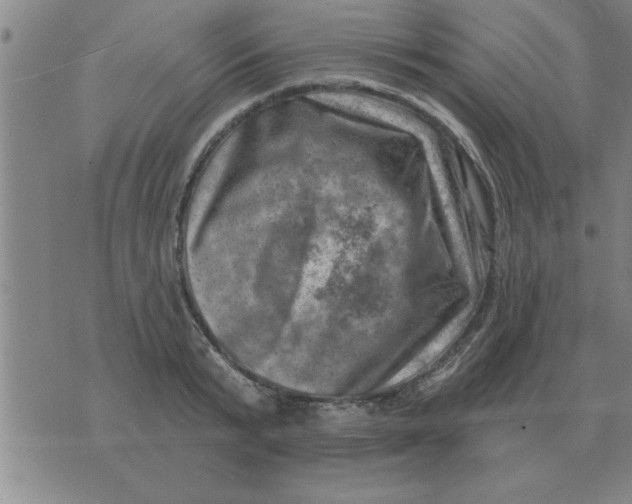 X0000074340799200609152121