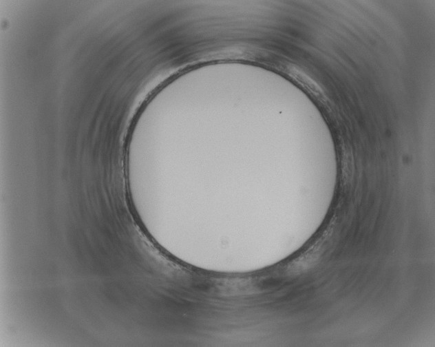 X0000074340800200609152121