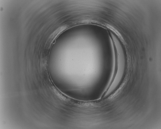 X0000074340801200609152120