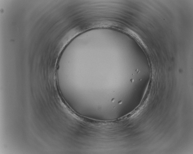 X0000074340802200609152120