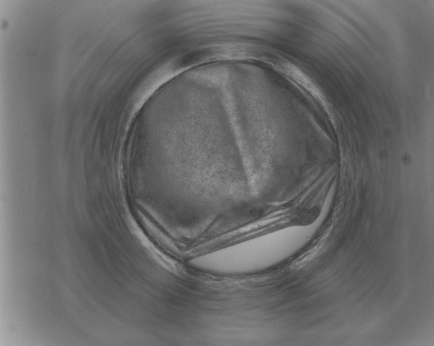 X0000074340803200609152120