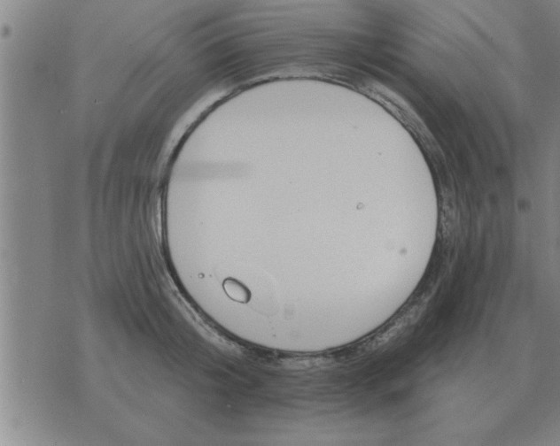 X0000074340804200609152120