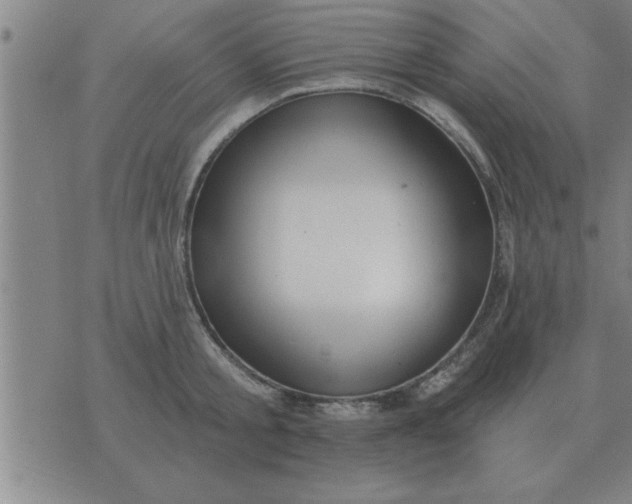 X0000074340805200609152120