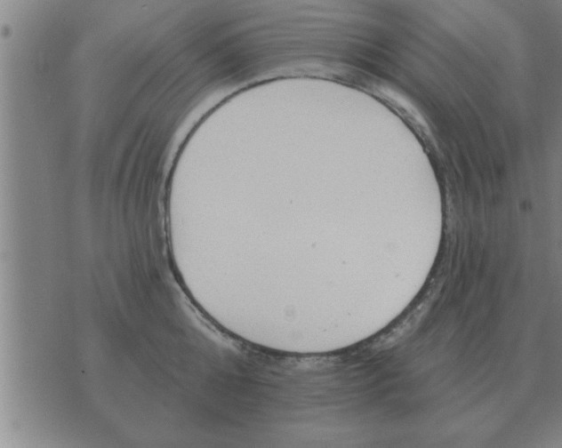 X0000074340808200609152120