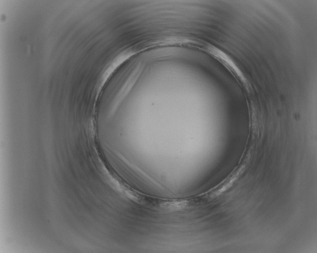 X0000074340810200609152120