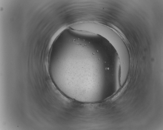 X0000074340812200609152120