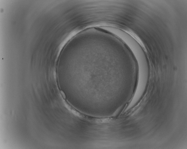 X0000074340813200609152120