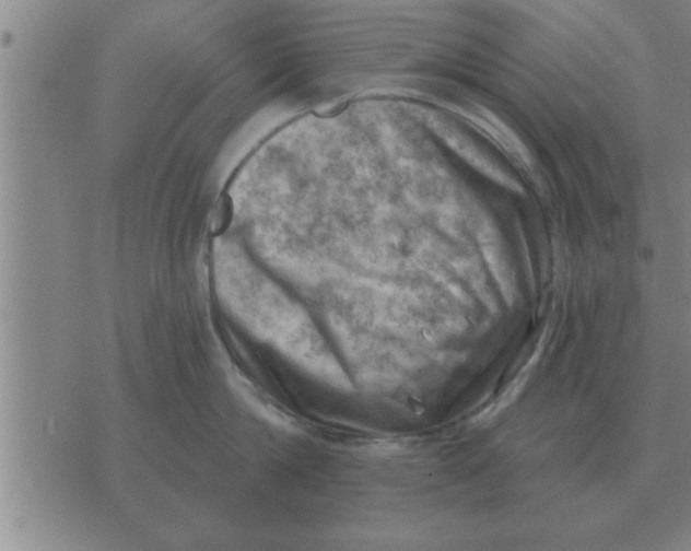 X0000074340814200609152120