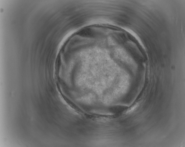 X0000074340815200609152120