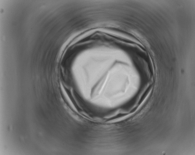 X0000074340816200609152120