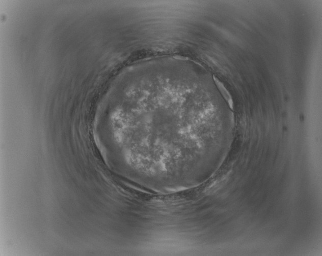 X0000074340817200609152119