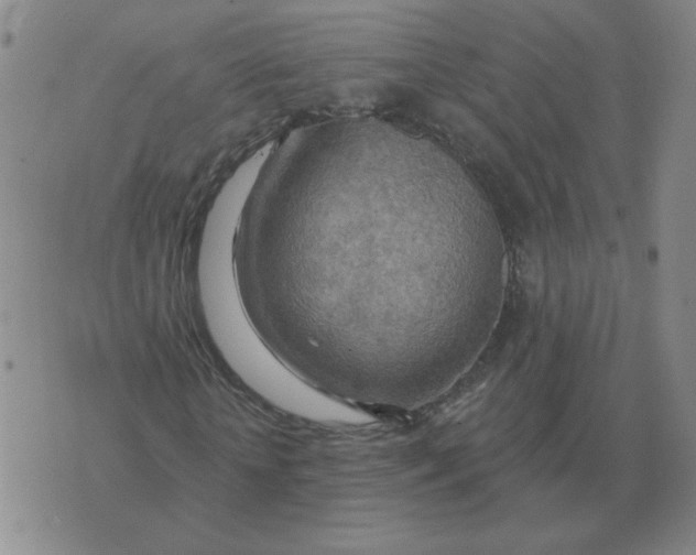 X0000074340818200609152119