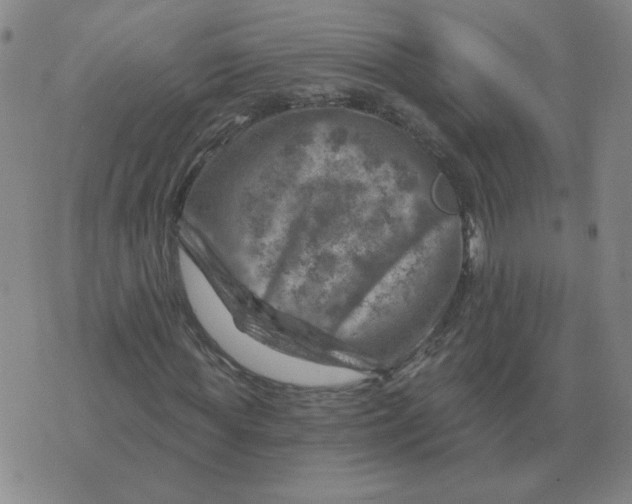 X0000074340819200609152119